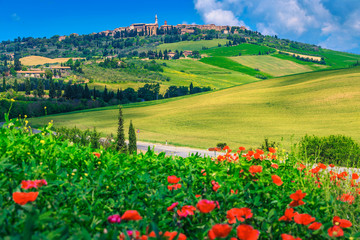 Fototapeta na wymiar Spectacular Tuscany cityscape and blooming red poppies, Pienza, Italy, Europe