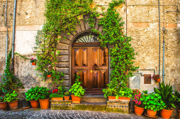 Fototapeta na wymiar vine plant on an italian house door 