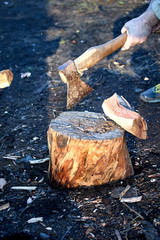 Strong man chopping a tree in the country with a sharp ax close up ax fly chips