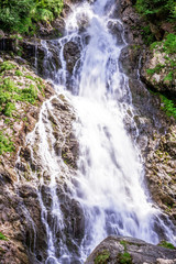 Forest mountain river running over rocks