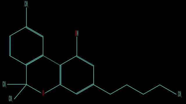 Animation light blue line draws the structural formula of the cannabinol molecule. No background