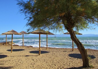 Stand mit Strohschirmen