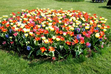Deurstickers Floralies du château de Groot Bijgaarden (Brabant Flamand- Belgique) © virginievanos