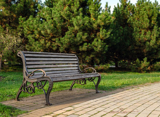 wooden bench for relaxing on the background of trees