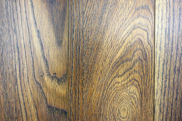 Texture of wood background