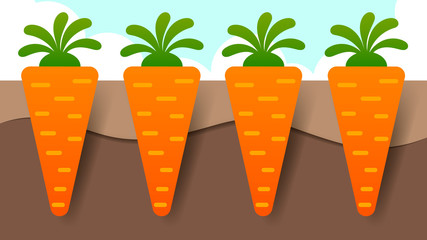Vector illustration of Carrot plant with roots underground