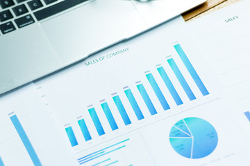Obraz premium Many charts and graphs reflect the company's concept of data collection and statistical performance in the past year.