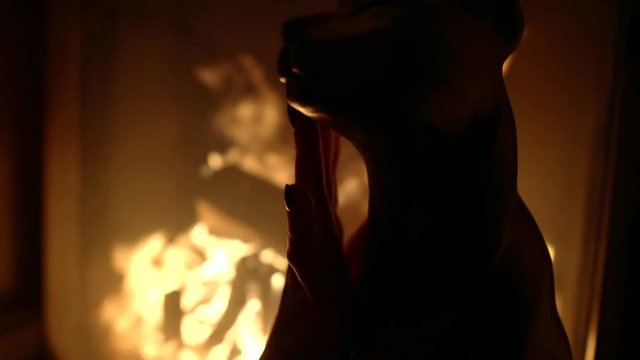 female hand is stroking wooden statue of panther in room lighted by big fireplace