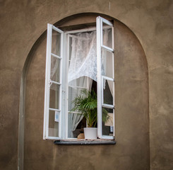 Window