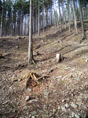 Górskie szlaki © amadeusz