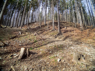 Górskie szlaki © amadeusz