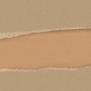Realistic Torn  brown carton border. Ripped paper. 