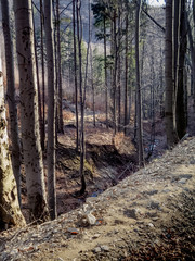 Górskie szlaki © amadeusz