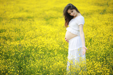 Fototapeta premium Pregnant woman in a dress in a field of flowers