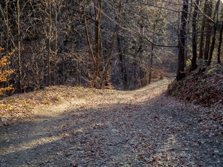 Górskie szlaki © amadeusz