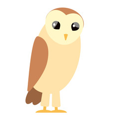 brown owl flat illustration
