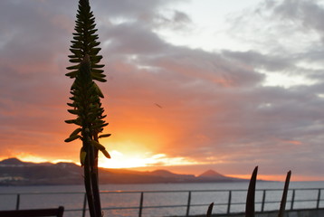 Atardecer en gran canaria