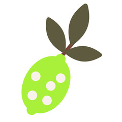 lemon flat illustration