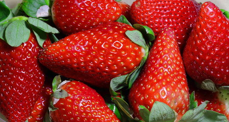 Bandeja de fresas primer plano