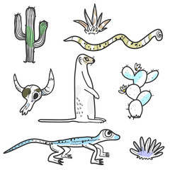 Desert animals and plants