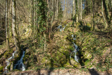 Waterfalls at Lautenbach