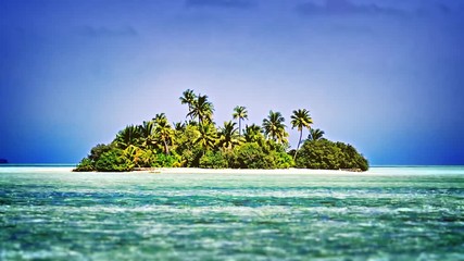 Exotic Tropical Island in the Maldives, in Crystal Clear Water