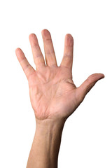 Old man hand isolated on white.  Aged man counting hand. Five.  Part of set.