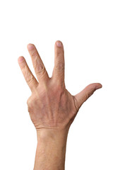 Old man hand isolated on white.  Aged man counting hand.  Part of set.