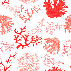 Corals, fishes, starfishes, sea seamless pattern. Living coral.