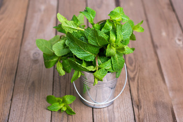 Fresh raw mint bunch in metal bucket on wooden background. Organic peppermint closeup in rustic style, vegetarian food.  Flat lay