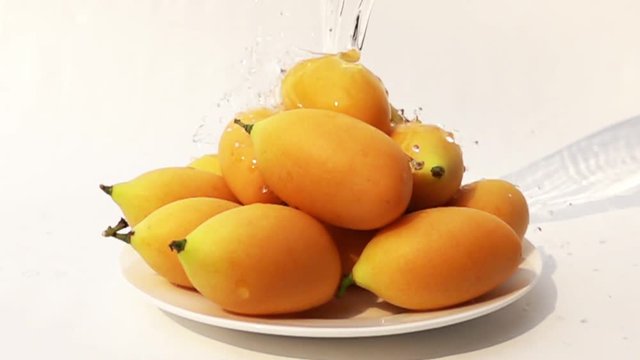 Washing Marian plum in a white plate on white background with fresh water in Slow Motion