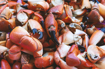 Red king crab claw © martina87