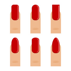 Manicure. Set of finger with red nail polish, different shapes nail, types fashion. Vector illustration