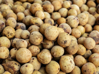 southern langsat, bunch of Southern langsat fruit as background