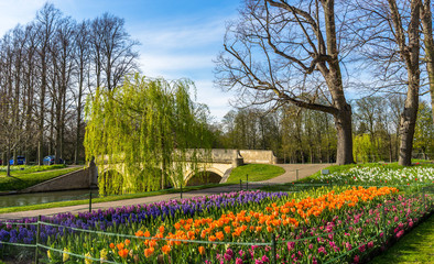 Plakat River Cam near Kings College in the city of Cambridge, United Kingdom and blooming flowers on the foreground
