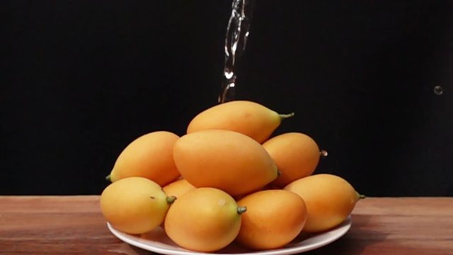 Washing Marian plum in a white plate on black background with fresh water in Slow Motion