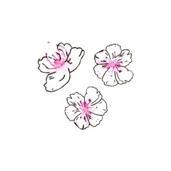 Obraz na płótnie Canvas Hand drawn watercolor sakura, pink peach flower vector illustration. Romantic garden element for different background