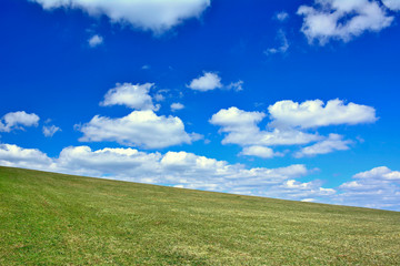Green field under blue sky with white clouds.