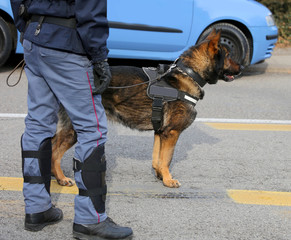 Dog Canine Unit of the police to identify the explosives