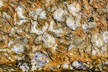 Vintage texture background. Old fallen leaves texture for background.