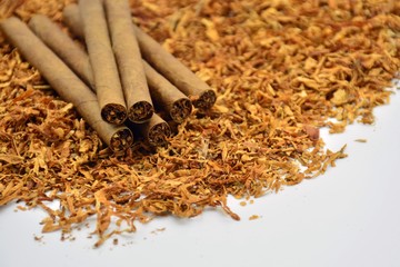 Cigarros puros encima de un montón de tabaco