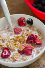 cereals with fruit