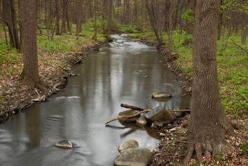 540-46 Hammel Creek in Spring
