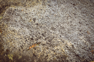 Background and texture of old stone