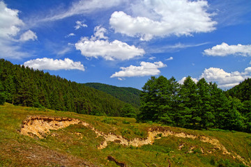 Fototapeta na wymiar Landslide and soil erosion on summer mountain