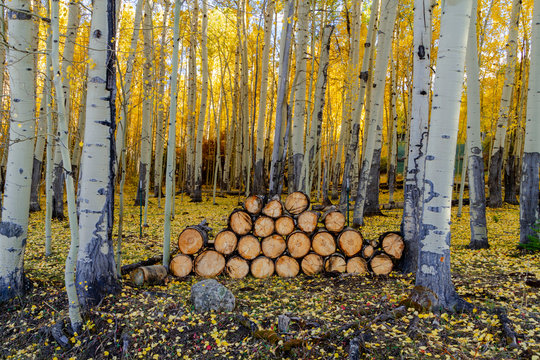 Autumn Color in San Juan and Rocky Mountains of Colorado