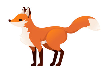 Cute red fox is standing on four legs. Cartoon animal character design. Forest animal. Flat vector illustration isolated on white background