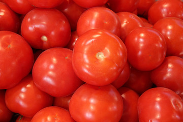  Tomatoes on market for sale