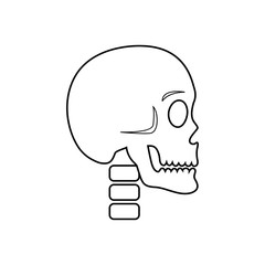 Icono plano lineal calavera en color negro