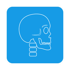 Icono plano lineal calavera en cuadrado color azul